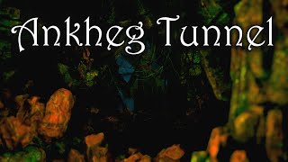 Ankheg Tunnel   Medieval Fantasy DampD Ambience [upl. by Ahseina]