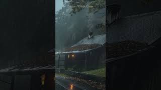 Sleep Instantly with Heavy Rain rain sleep rainsounds relax forest shorts thundersounds [upl. by Ebocaj523]