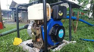 IRRIGATION  WATER PUMP trending viralvideo agriculture submersiblepump watersupply farming [upl. by Nahshu108]