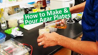 Pouring LB agar plates [upl. by Quirita]