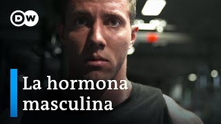 Testosterona  La fuerza motriz de los hombres  DW Documental [upl. by Ellennahs]