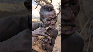 Hadzabe tribe Oldman eating Meal😋So delicious 🤤 Today bushmen culture [upl. by Suckow]