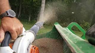 Spreading Grass Seed With Stihl BG86 Leaf Blower QUICK and EASY [upl. by Cirdnek]