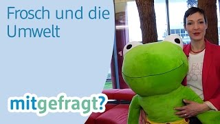 Fliesen reinigen mit Frosch Reiniger in BioQualität  dm mitgefragt Folge 43 [upl. by Duax]