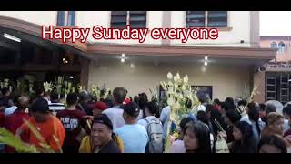 Palm Sunday March 24 2025 Happy Sunday everyone shortvideo [upl. by Ayhay]