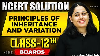 PRINCIPLES OF INHERITANCE AND VARIATION  NCERT Solutions  BOTANY Chapter 02  Class 12th Boards [upl. by Terence710]