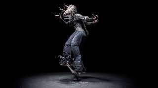 Rodney Mullen  Liminal [upl. by Assereht287]