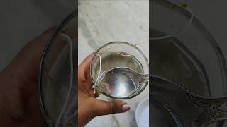 ভেজানো chia seeds খেতে গিয়ে দেখি গাছ হয়ে গেলো ☘️gardening chiaseeds minivlog shorts [upl. by Aimal479]