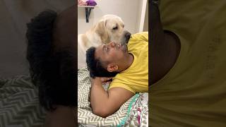 Joey convincing pawpaw fir treat part 2 pawsomelove doglover funnyanimal pawlove funnypuppy [upl. by Conti]