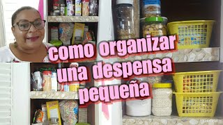 COMO ORGANIZAR UNA DESPENSA PEQUEÑAIDEAS PARA ORGANIZAR [upl. by Avivah]