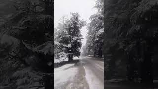 IFRANE 291024🌨🌨❄ [upl. by Auerbach]