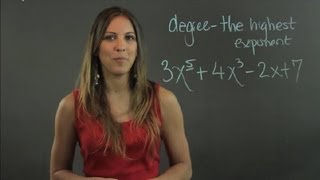 How to Make a 5th Degree Polynomial  Lessons in Math [upl. by Ednalrym]