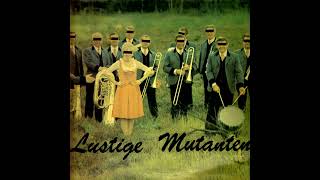 Lustige Mutanten  UnPop 1981 Germany Full Album [upl. by Syhr]