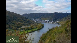 BuchsbaumWanderweg und Burg Eltz 2024 [upl. by Acissaj]