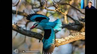 Uganda Virtual Birding Tour [upl. by Glori]