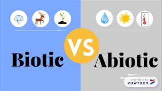 Biotic VS Abiotic Factors I Timely Tutor [upl. by Rodablas357]