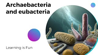 Archaebacteria and eubacteria LearnQuest [upl. by Valaree76]