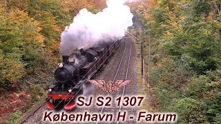 NSVT SJ S2 1307 til Farum [upl. by Utley939]