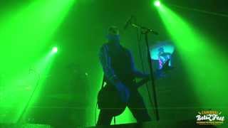 Punish Yourself  Mothra Lady  Live BetiZFest 2013 [upl. by Adnicul]