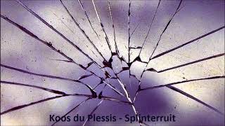 Koos du Plessis  Splinterruit [upl. by Neelie]