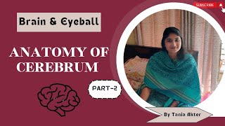 Anatomy of Cerebrum Part 2  Bangla Demonstration of Cerebrum  Viscera of Cerebrum  Cerebrum Demo [upl. by Peony]