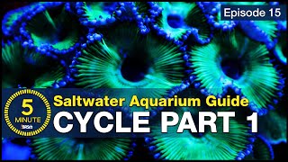 Cycle your saltwater aquarium Step 1 A new reefers guide to ammonia and the nitrogen cycle [upl. by Mamie645]