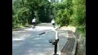 Folding Bikes Strida Vs Brompton Downhill Shenzhen China [upl. by Leund879]