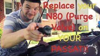 Replacing the N80 Purge Valve on a 2012 Passat [upl. by Akimad]