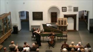 Georg Philipp Telemann Trio B minor TWV 42h4 from Essercizi Musici [upl. by Egiap]