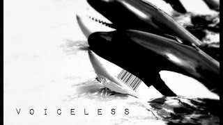 Voiceless  Official Teaser Trailer 1 [upl. by Brass]