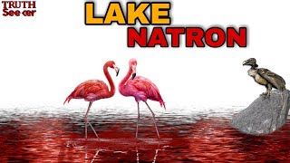 Lake Natron The Deadliest Lake On The Earth [upl. by Hamlen]