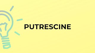 What is the meaning of the word PUTRESCINE [upl. by Eissirk644]