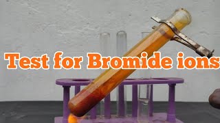 Test for Bromide ions [upl. by Lehcear]