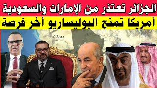 الجزائر تعتذر من الإمرات والسعودية  امريكا تمنح البوليساريو أخر فرصة ودي ميستورا يتحرك [upl. by Nyvar46]