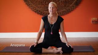 10 Minute Meditation  Anapana [upl. by Giah146]