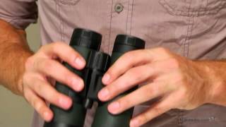 Bushnell 8x42mm Trophy XLT Binoculars  Product Review Video [upl. by Niledam]