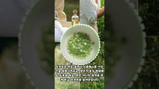 🌿 인진쑥 이렇게 먹으면 효과 UP 💯 🌿 How to Maximize Artemisia Capillaris Benefits 💯 [upl. by Elletse177]