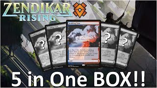 HOW IS THIS POSSIBLE  5 Expeditions in ONE Box  Zendikar Rising Collector Booster Box Opening [upl. by Olracnaig]