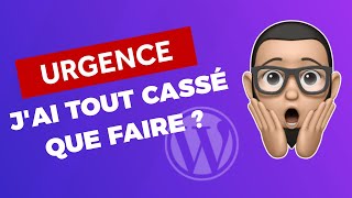 Comment corriger une erreur critique sur WordPress  Je texplique  🤓 [upl. by Charbonnier]