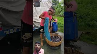 fish farming  fish farming in india  fish farming business  fishfarming shorts facts shorts [upl. by Remark]