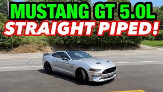 2018 Ford Mustang GT 50L COYOTE V8 DUAL EXHAUST w STRAIGHT PIPES [upl. by Sadira967]