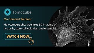 Webinar Holotomography labelfree 3D imaging of live cells stem cell colonies and organoids [upl. by Ardnasyl964]