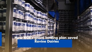 How KCB’s green lending plan saved Ravine Dairies [upl. by Durno]