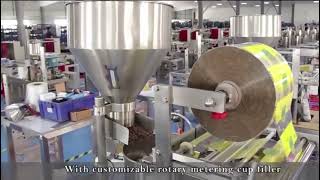 Rice Popcorn Chips Snacks Pouch Spices Sugar Coffee Candy Packaging Machine [upl. by Anavi]