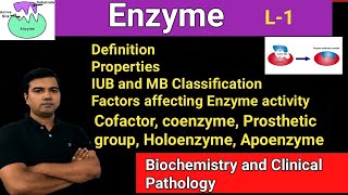 Enzymes L1 [upl. by Ticknor]