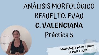 Morfología resuelta EvAU 2020 C Valenciana Práctica 5 [upl. by Ashely]