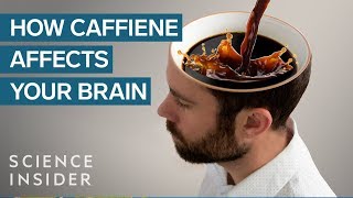 What Caffeine Does To Your Brain [upl. by Ohaus149]