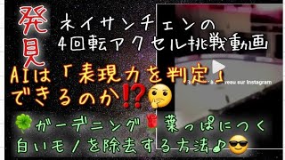 【仰天】ネイサンチェンが4回転アクセルを挑戦している動画を紹介します。正直言って、衝撃を受けました。【採点】フィギュアの表現力はAI判定可能なのか🤔【ガーデニング】葉っぱが白くなる病気を治す方法😚 [upl. by Dex901]