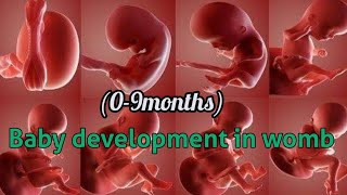 Baby growth during pregnancy 0 to 9 months fetal growth from 09 monthsಕನ್ನಡದಲ್ಲಿAayushi RS [upl. by Syck928]