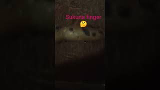 real life sukuna finger [upl. by Kayne]